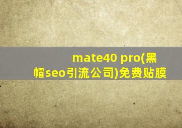 mate40 pro(黑帽seo引流公司)免费贴膜